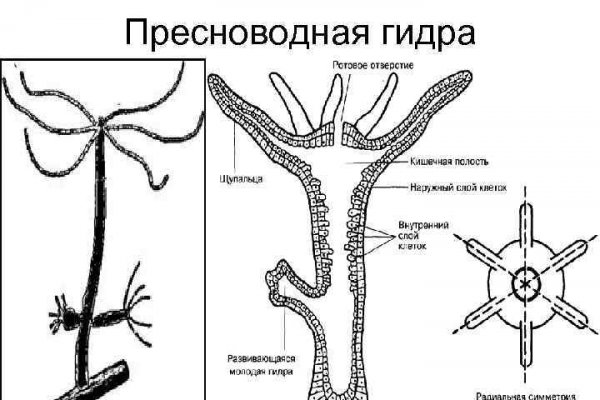 Активная ссылка кракен